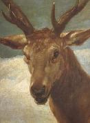 Diego Velazquez Head of a Stag (df01) oil painting picture wholesale